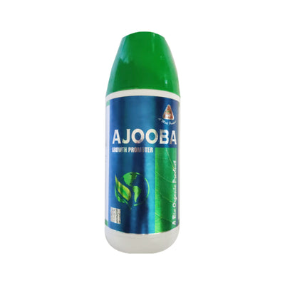 Ajooba
