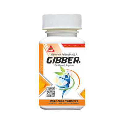 Gibber+