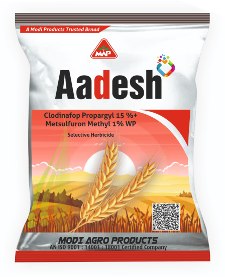 Aadesh