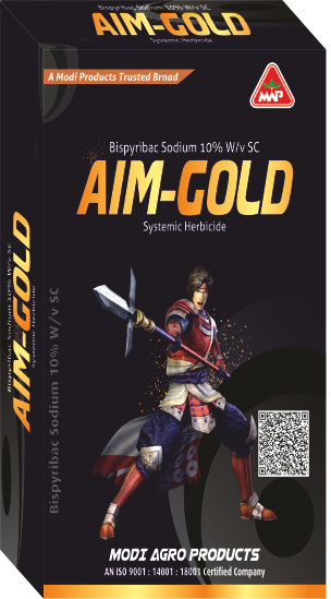 Aim-Gold