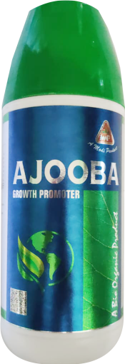Ajooba