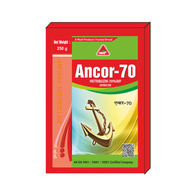Ancor-70
