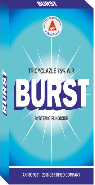 Burst 75% WP