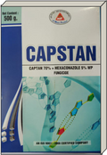 Capstan