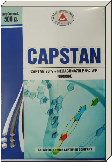 Capstan