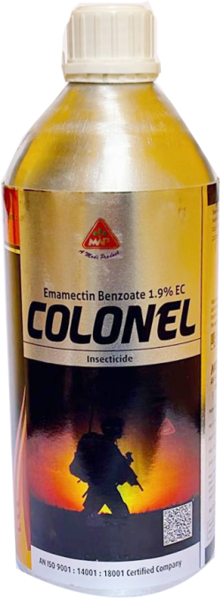 Colonel