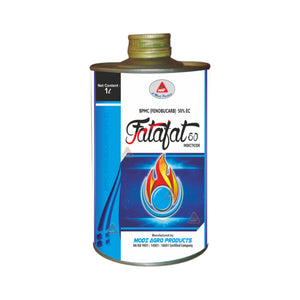 Fatafat 50%