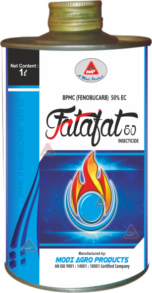 Fatafat 50%