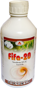 FIFA 20% EC