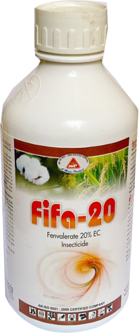 FIFA 20% EC