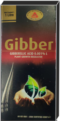 Gibber+