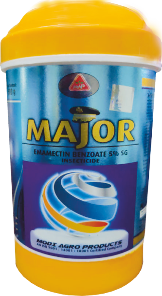 Major 5% SG