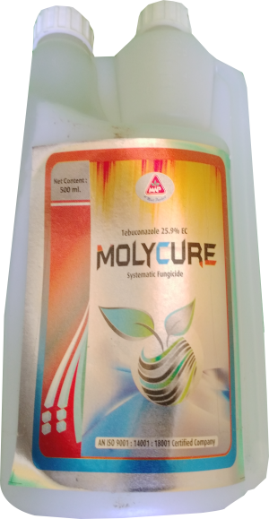 Molycure