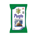 Punto