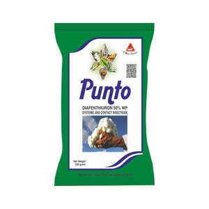 Punto