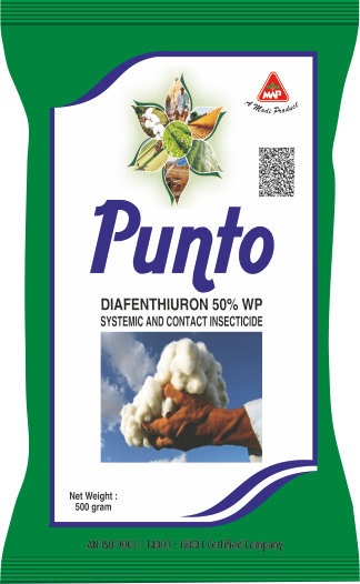 Punto