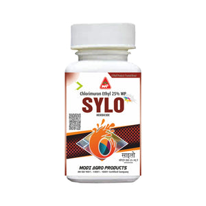 Sylo
