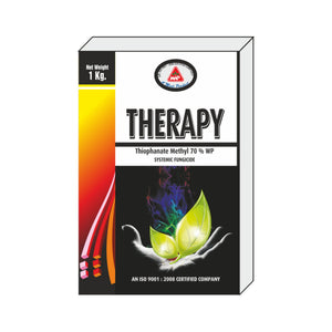 Therapy
