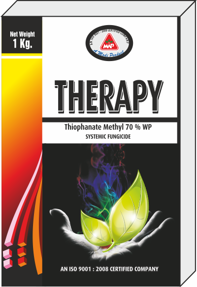 Therapy
