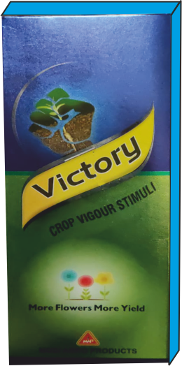 Victory