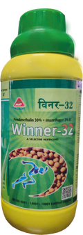 Winner 32