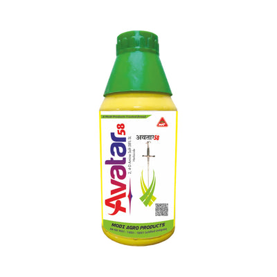 Avatar 58